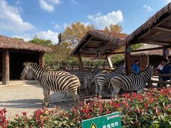 -上海野生动物园