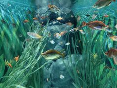 -上海海洋水族馆