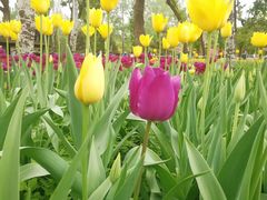 -国家植物园南园