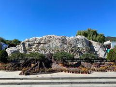 -北京西山国家森林公园