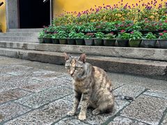 -西园戒幢律寺