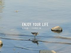 -深圳湾公园(南山区)