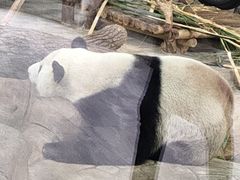 -南宁市动物园