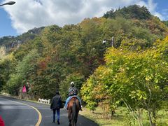 -丹东天桥沟景区