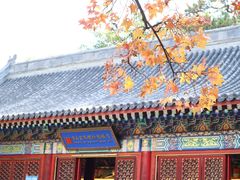 -香山公园