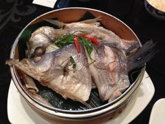 钱塘新风鱼-皇饭儿·王润兴酒楼(河坊街店)