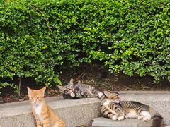 -烈士陵园(地铁站)