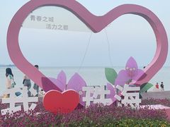 -野狸岛