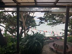 -卷心菜和避孕套餐厅(Pattaya)