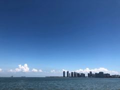 -万绿园