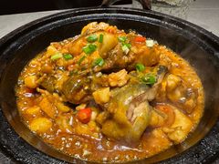 石锅江团鱼-宏宴·新京菜(望京店)