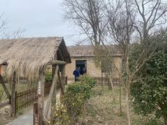 -盐城丹顶鹤湿地生态旅游区