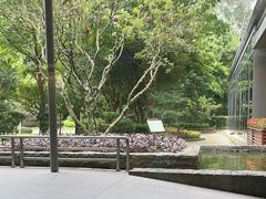 -南宁荔园维景国际酒店·荔园中餐厅