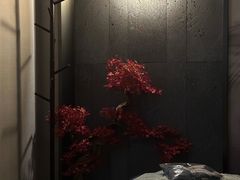 -39°·叁十九度·浴足SPA(龙湖滨江天街总店)