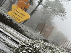 -铁山坪森林公园