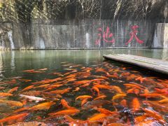-千岛湖东南湖区