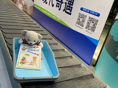 -丽江三义国际机场