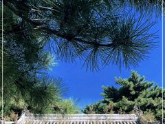 -潭柘寺景区