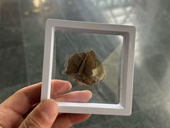 -房山世界地质公园博物馆