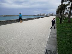 -美国村