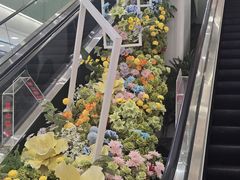 -凯德MALL(望京店)