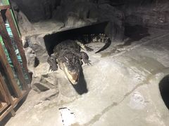 -上海昆虫博物馆