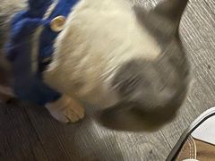 -后院儿·精酿·塔罗Happy Bar
