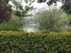 景点-范蠡湖公园