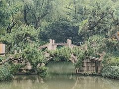 -上海醉白池公园