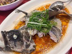 -金河半岛园林酒家(金融城店)