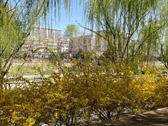 -元大都城垣遗址公园