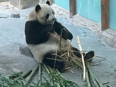 -青藏高原野生动物园