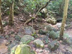 -火炉山森林公园