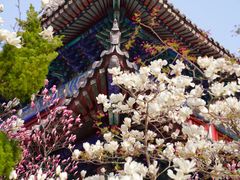 -青岛崂山太清宫