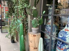 -手选潮汕鲜活牛肉火锅(二七广场店)