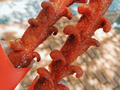 黑色经典老长沙大香肠-黑色经典臭豆腐·湖南特产(坡子街店)