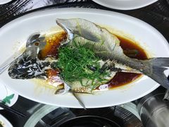 大盆鱼-食的禄山庄