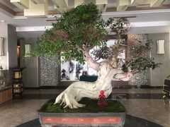 -锦丰大酒店