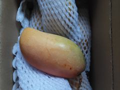-沈阳市八家子水果批发市场