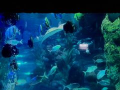 -南昌海洋公园