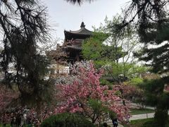 -西安青龙寺遗址景区