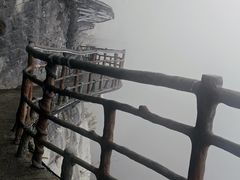 -鹿院坪生态旅游景区
