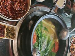 -志晖园圆子鸡·辣子鸡(阳光店)