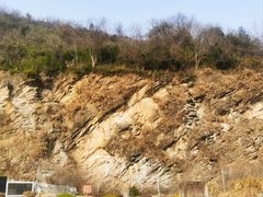 -金钉子远古世界景区