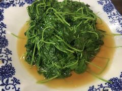 -协和菜馆(凤凰街店)