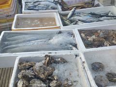 生蚝-芦潮港集贸市场