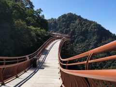 景点-少华山国家森林公园
