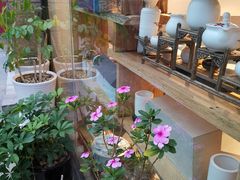 -茶油香闽南菜·花园餐厅(前埔店)