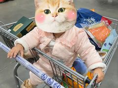 -山姆会员商店(亦庄创意生活广场店)