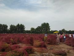 -汉长安城未央宫国家考古遗址公园